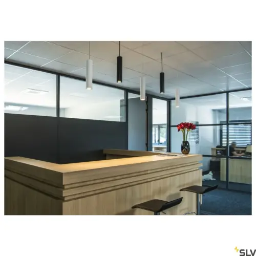 ENOLA_B PD-1 QPAR51 Blanc