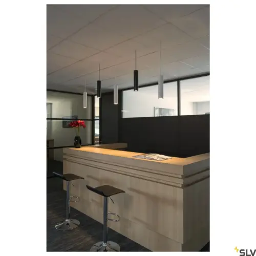 ENOLA_B PD-1 QPAR51 Blanc