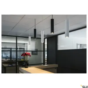 ENOLA_B PD-1 QPAR51 Blanc