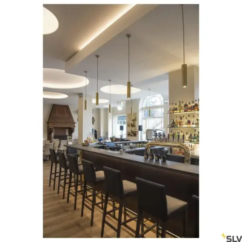 ENOLA_B PD-1 QPAR51 Laiton