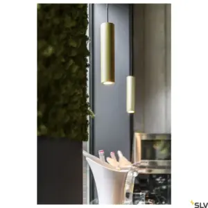 ENOLA_B PD-1 QPAR51 Laiton