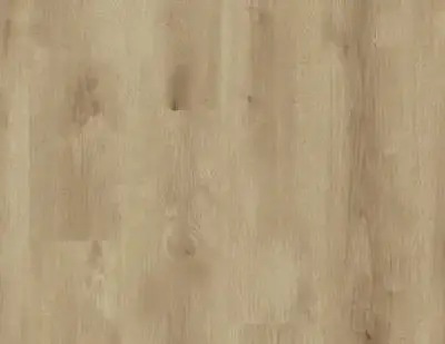 Vinyl floor Elegance Rigid 55