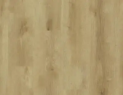 Vinyl floor Elegance Rigid 55