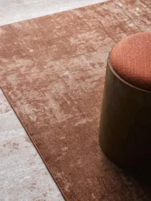 Alcatifa impressa DESSO & Ex Nature