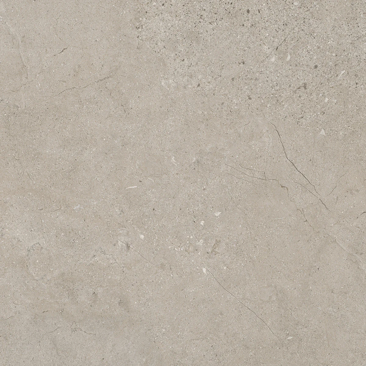 Dalle Murale Gxwall 30x60 Cream Slate