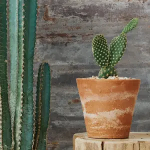 Element 3D revêtement mural rouille 260x50cmx6mm