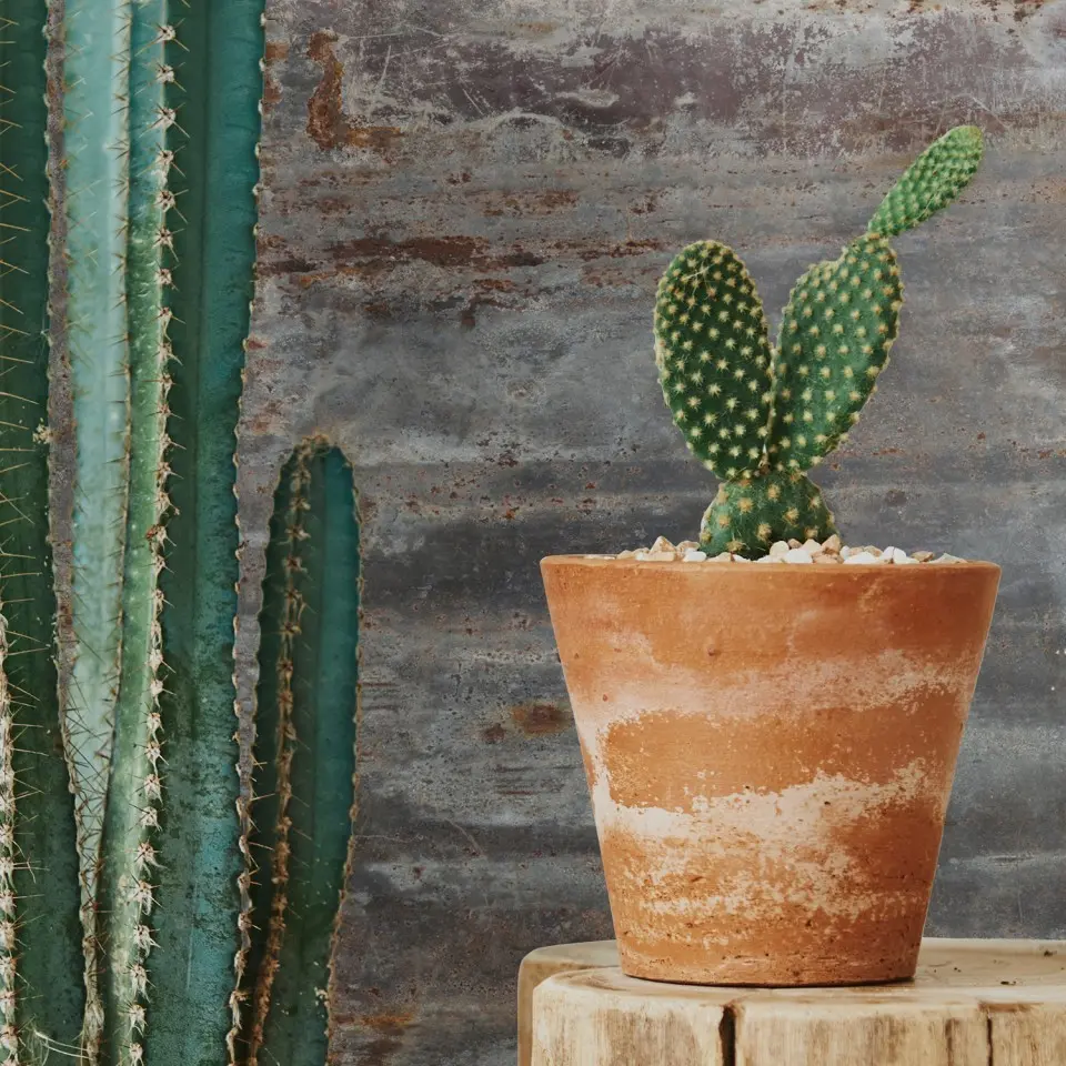 Revestimiento Pared Element 3D Óxido 260x50cmx6mm