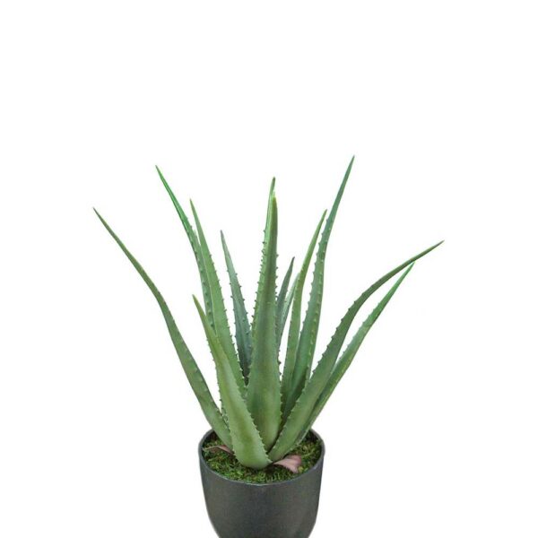 Pack 2 Plantes ALOE artificielles 55cm