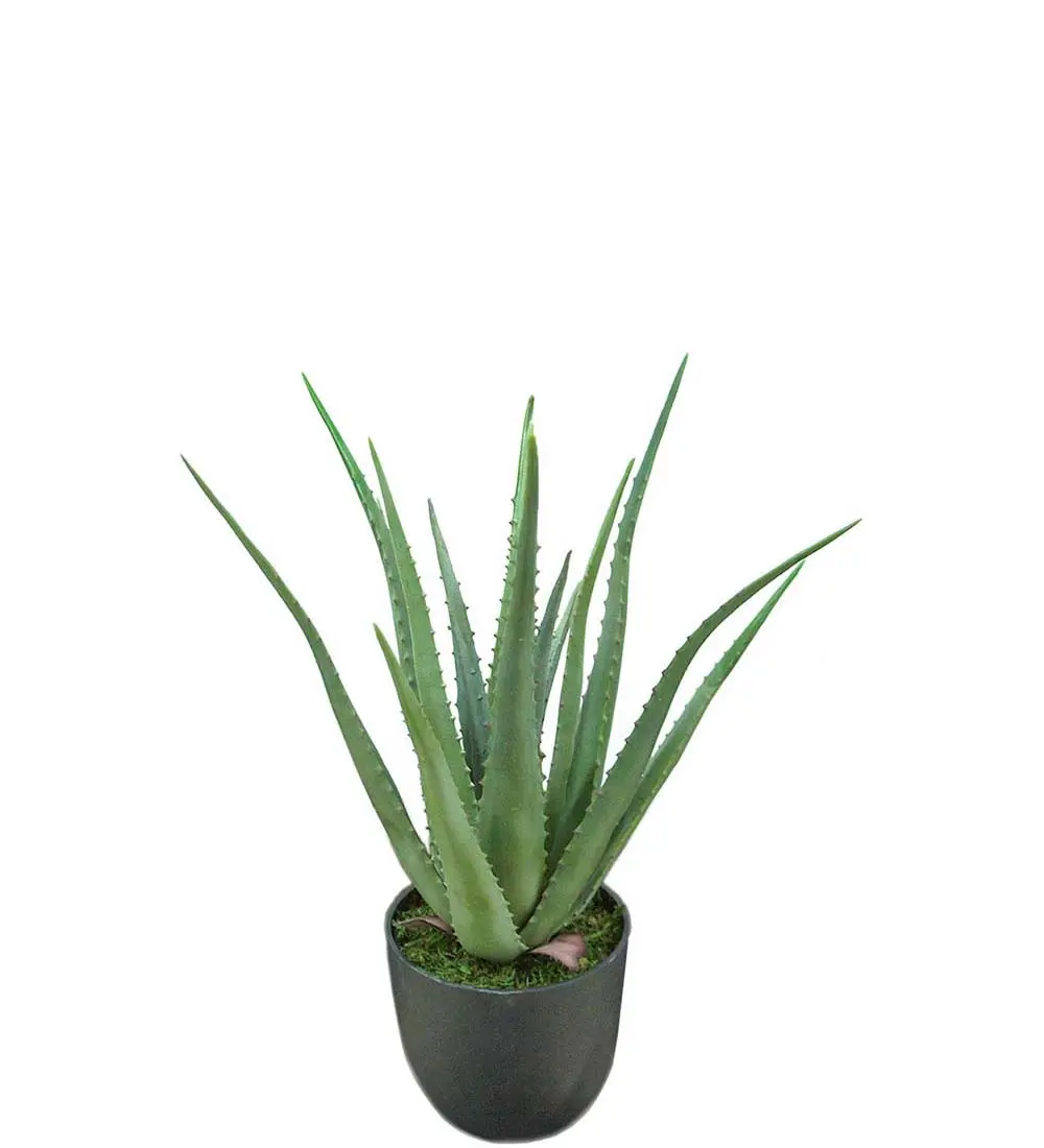 Pack 2 Plantas ALOE Artificial 55cm