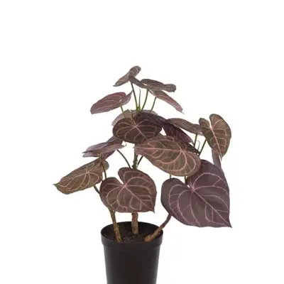 Planta Artificial ANTHURIUM Burgundy 65 cm