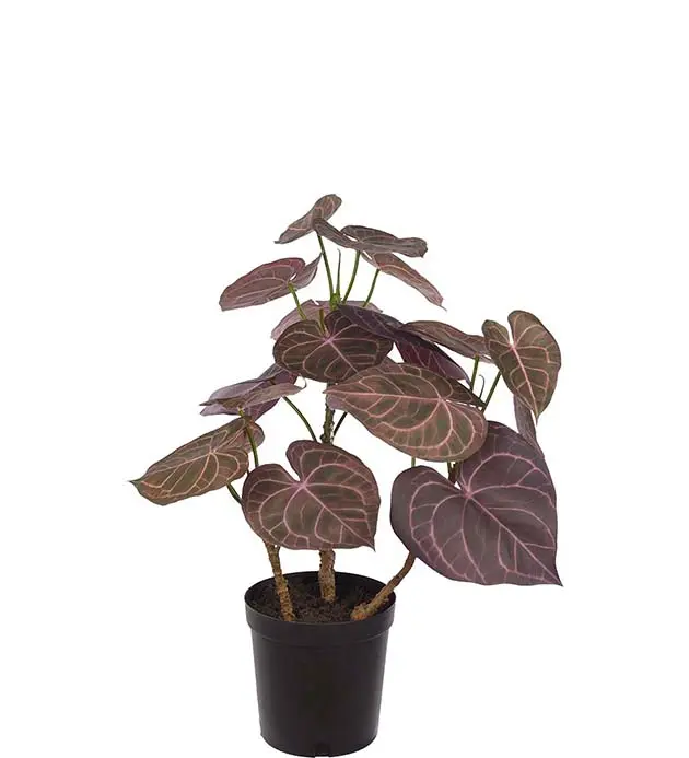 Artificial Plant ANTHURIUM Burgundy 65 cm