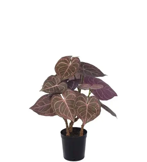 ANTHURIUM Bordeaux Artificial Plant 60 cm