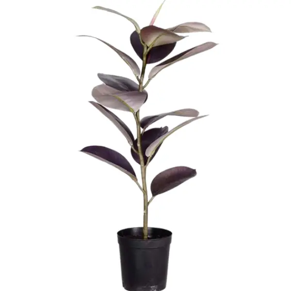 Artificial Ficus 80 cm