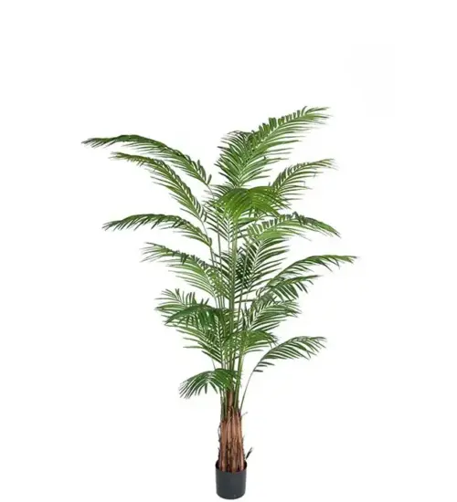 Pack of 2 Areca Artificial Palms