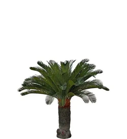 Palmeira Cycas 130 cm