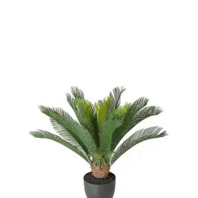 Pack Palmeras Artificiales Cycas 70cm
