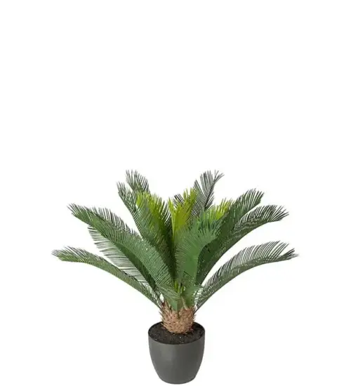 Pack Palmiers Artificiels Cycas 70cm