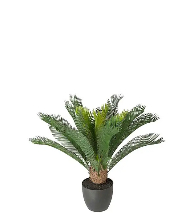 Pack Artificial Palm Trees Cycas 70cm