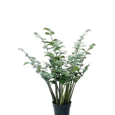 Planta Verde Grande Zamifolia Artificial 120cm (copia)