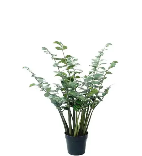 Large Green Plant Zamifolia Artificial 120cm (copy)