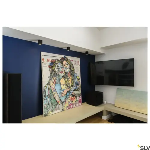 ALTRA DICE CL Applique Plafond Noir