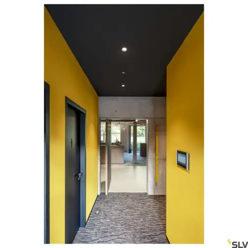 NUMINOS® DL S LED Light Black