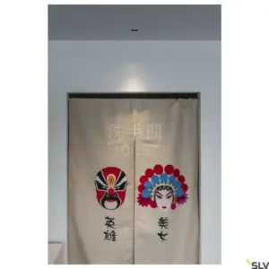 NUMINOS® DL S LED Light Noir