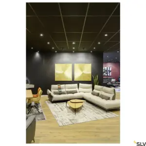 NUMINOS® DL M LED Light Preto