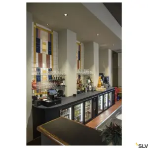 NUMINOS® DL L LED Light Black