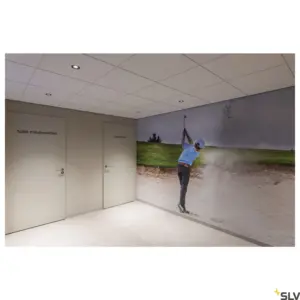 NUMINOS® DL L Lumière LED noire