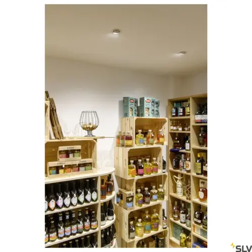 NUMINOS® GIMBLE S Lamp