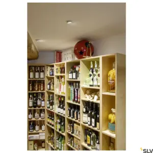 NUMINOS® GIMBLE S Lamp