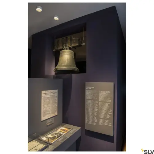 OCCULDAS 13 Wall/Ceiling LED White