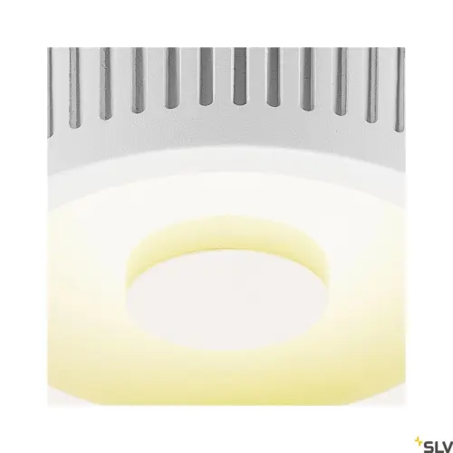 OCCULDAS 13 Wall/Ceiling LED White