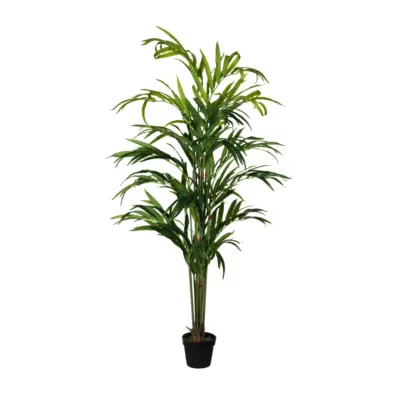 Artificial Kentia Palm Trees